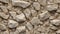 Organic Stone Canvas: Coarse Limestone Texture. AI generate