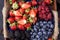 Organic strawberries, raspberries, blueberries, blackberries on a separate dish close-up on a solid concrete background.