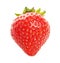 Organic Strawberry