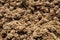 Organic substrate background for mushroom cultivation, fungiculture growth medium