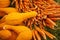 Organic summer squash and carrots for sale at the farmers market