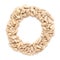 Organic Sunflower seed Helianthus annuus in Ring Shape. Letter O for Omega-3.