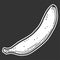 Organic sweet banana. Vector concept in doodle and sketch style