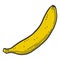 Organic sweet banana. Vector concept in doodle and sketch style