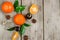 Organic tangerine essential oil