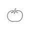 Organic tomato hand drawn sketch icon.