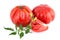 Organic Tomatoes Ripe Tomato