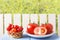 Organic tomatoes on wooden table in rustic garden on background of wooden fence and green trees. Cherry tomatoes in wicker basket.