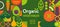 Organic vegetable banner in simple geometric style