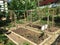 Organic vegetable garden