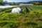 Organic vegetable garden with greenhouse in the background.