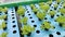 Organic vegetable hydroponic cultivation farm