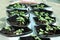 Organic vegetable plants growing in the plastic grow bags kept on the roof top.