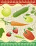 Organic vegetables, fruits, berries on square mat