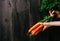 Organic vegetables. Hands holding fresh carrots. Black wooden background with copy space