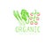 Organic vegetables, organic food, garden produce, eating and dieting, logo design. Meal, tomato, lettuce salad, green onion, farme