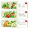 Organic vegetables sketch banner set design