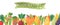 Organic vegetables vector illustration banner. Healthy life, organic vegetables food. Cartoon avocado, corn, squash