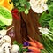 Organic vegetables on wood background