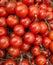 Organic Vine Tomatoes