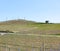 Organic vineyards in Italy. Spring season, sunny day. Vine yards