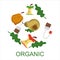 Organic waste collection vector isolated. Food garbage