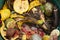 Organic waste food leftovers - Fruit and vegetable peelings