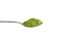 Organic wheatgrass or barley grass powder in steel tea spoon isolated on white. Detox superfood measuring