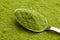 Organic wheatgrass or barley grass powder superfood in steel spoon