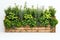 Organic Wooden Raised Bed Vegetable Garden For Vertical Planting