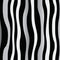 Organic Zebra Pattern With Three-dimensional Effects