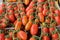 Organics cherry tomatoes at farmers market