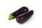 Organics eggplants isolate