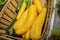 Organics yellow and green zucchini sold at local store in Provence region