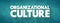 Organizational culture - collection of values, expectations, and practices that guide and inform the actions of all team members,