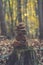 Organized arrangement of stones in a wooden stump situated in a forest setting