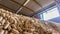 Organized Biomass: Wood Pellets Warehouse Display