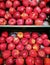 organized fruit crate with red apples in market