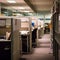 Organized Office Cubicles with Personal Touches