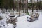 Organized place for barbecue in the winter pine forest, with a stone stove and benches.