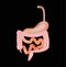 Organs of the gastrointestinal tract. Esophagus, stomach, duodenum, small intestine, colon. Digestion. Infographics. Vector