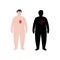 Organs in obese human body