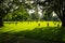 Orglandes,Normandy, France; 4 June 2014: Orglandes Cemetery. German cemetery in Normandy for German combatants during the Second