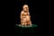 Oriental Buddist Statue Isolated