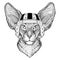 Oriental cat with big ears Wild animal wearing rugby helmet Sport illustration