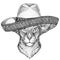 Oriental cat with big ears Wild animal wearing sombrero Mexico Fiesta Mexican party illustration Wild west