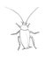 Oriental cockroach, macro of insects. Pest control. Vector outline illustration in cartoon doodle style, isolated