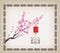 Oriental Paper Lantern, plum blossom. Chinese new year