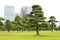 Oriental park in Tokyo, Japan