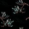 Oriental seamless pattern for velvet fabric. Flower branch on a dark background, Japanese plum